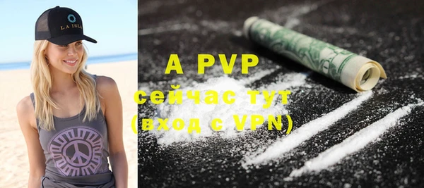 ECSTASY Верея