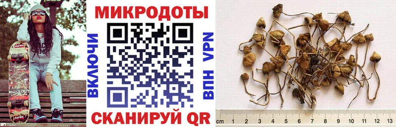Галлюциногенные грибы Psilocybe  гидра как войти  площадка клад  Сретенск 